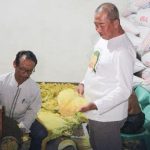 Foto : petani tembakau