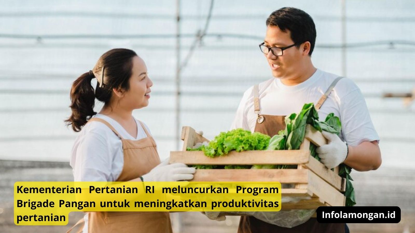 Kementerian Pertanian mendukung ketahanan pangan nasional melalui peluncuran Program Brigade Pangan.