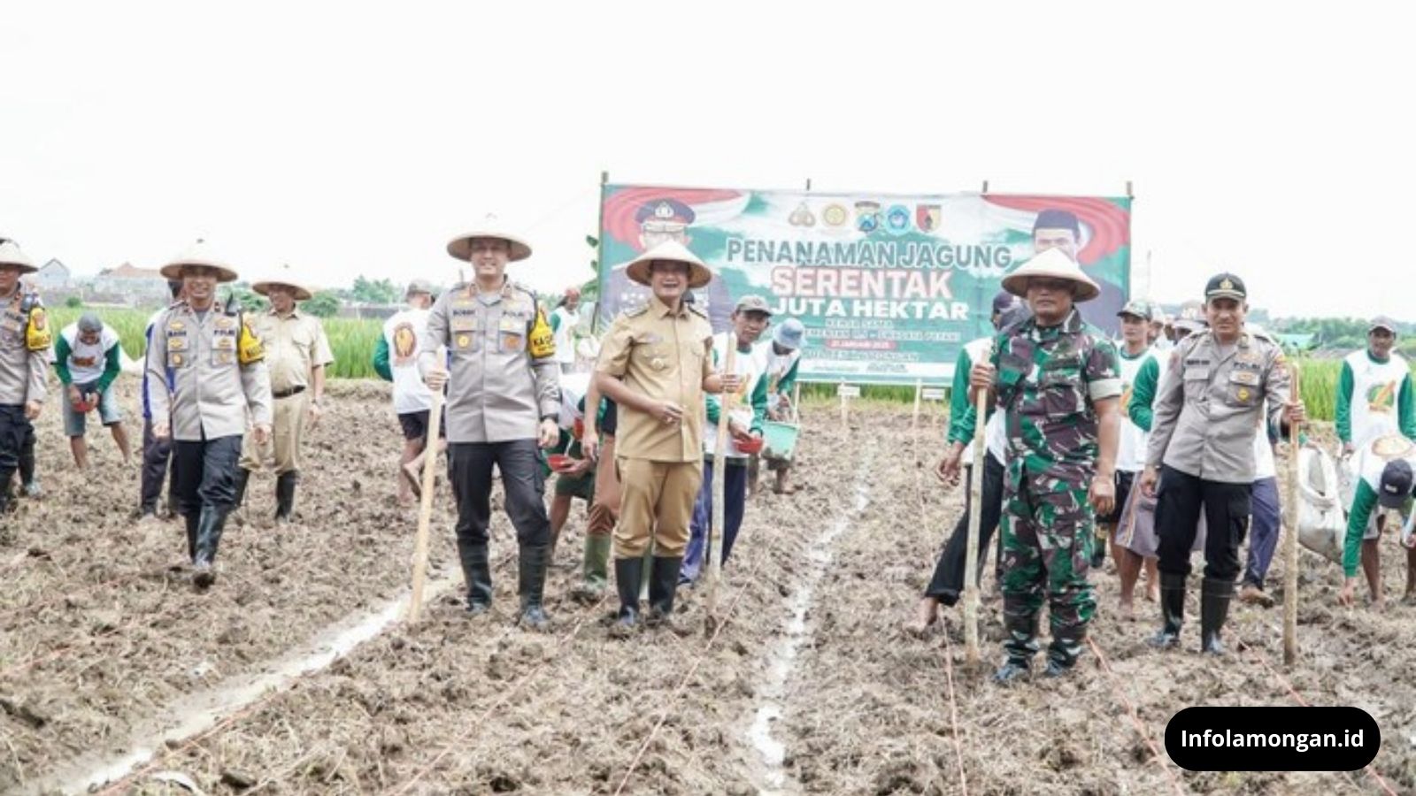 Target 56 Hektare Tanam Jagung di Kabupaten Lamongan