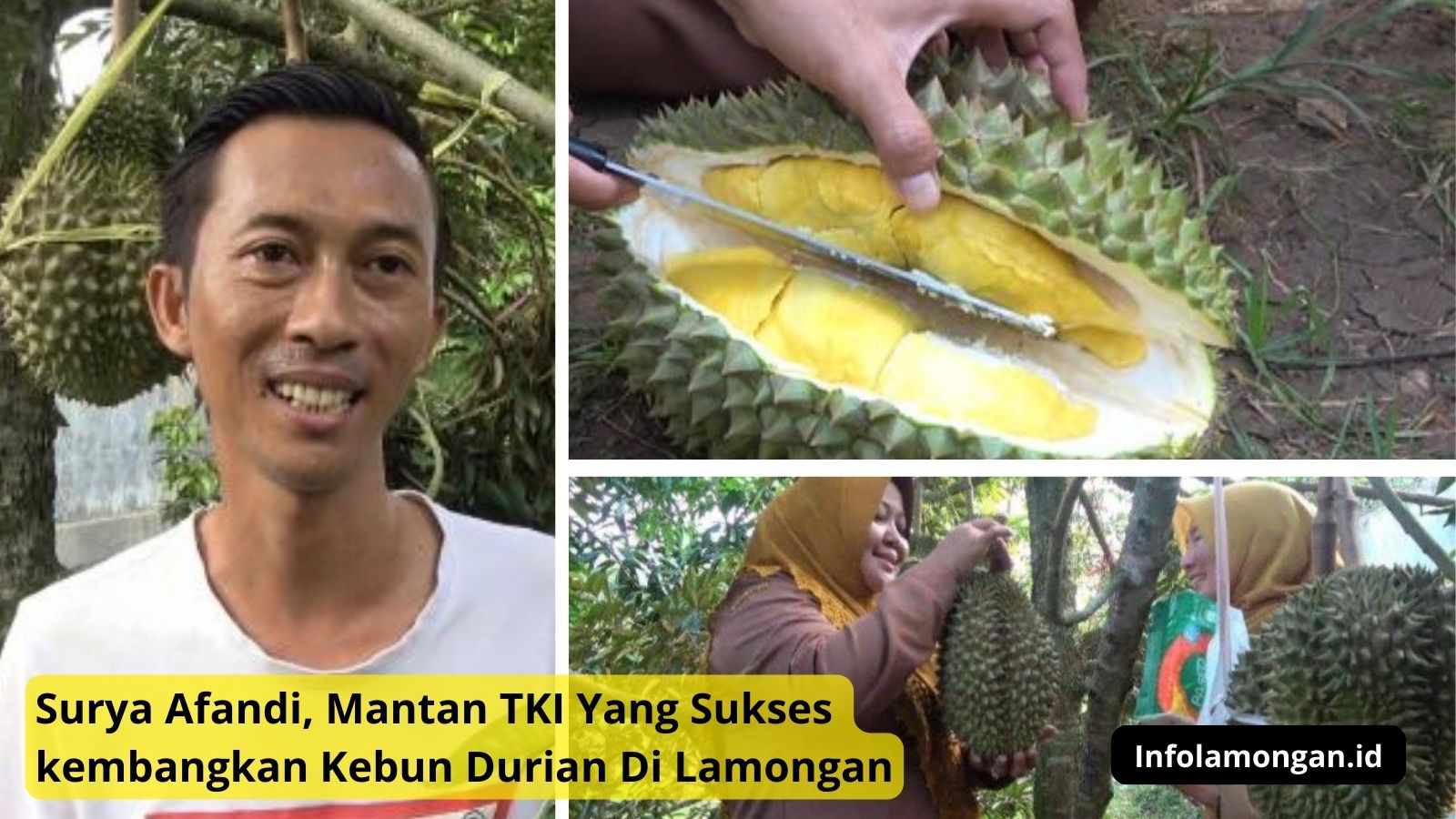 surya afandi, Mantan TKI asal Lamongan yang sukses kembangkan kebun durian