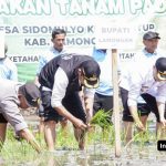 Sumber : lamongankab.go.id