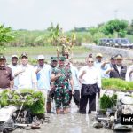 Sumber : portal.lamongankab.go.id