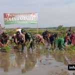 Foto : Babinsa Koramil 0812/19 Laren Tanam Padi Bersama