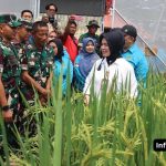Foto : Kunjungan LLDIKTI ke Lamongan