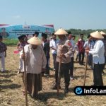 Foto : Penanaman jagung simbolis oleh Polres Lamongan dan santri Ponpes Rodhotus Sholihin sebagai dukungan Swasembada Pangan 2025.
