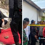 Foto : Granat Tua di Lahan Parkir Sekolah