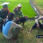 Foto : Dokumentasi Kegitan Comsos Kodim 0812Lamongan