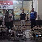 Foto : Dokumentasi Polres Lamongan Gagalkan Dua Arena Sabung Ayam