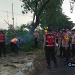Foto : Polres Lamongan Evakuasi Pohon Tumbang yang Tutup Jalur Poros Sukodadi