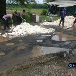 Foto : Suasana gotong royong perbaikan jalan rusak di Jalan Poros Laren-Paciran, Desa Gampangsejati. Tampak anggota Polsek Laren dan Koramil Laren berbaur dengan masyarakat setempat serta pelajar SMPN 1