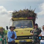 Foto : Personel TNI bersama Petugas Penyuluh Lapangan (PPL) mengawasi proses pembongkaran bibit tebu dari kendaraan pengangkut di lahan kelompok tani.