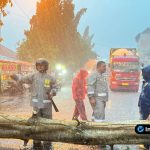 Foto : Anggota Polsek Babat dengan jas hujan sedang mengatur lalu lintas dan memberikan isyarat kepada pengendara di sekitar lokasi kejadian pohon tumbang.