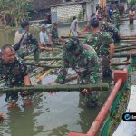 Foto : Close-up proses pemasangan anyaman bambu (gedeg) sebagai lantai jembatan darurat oleh beberapa personel.