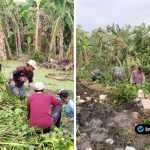 Foto : Danramil Lettu Cke Sunarko bersama personel gabungan sedang menarik dan mengangkat enceng gondok dari sungai di Desa Latukan.