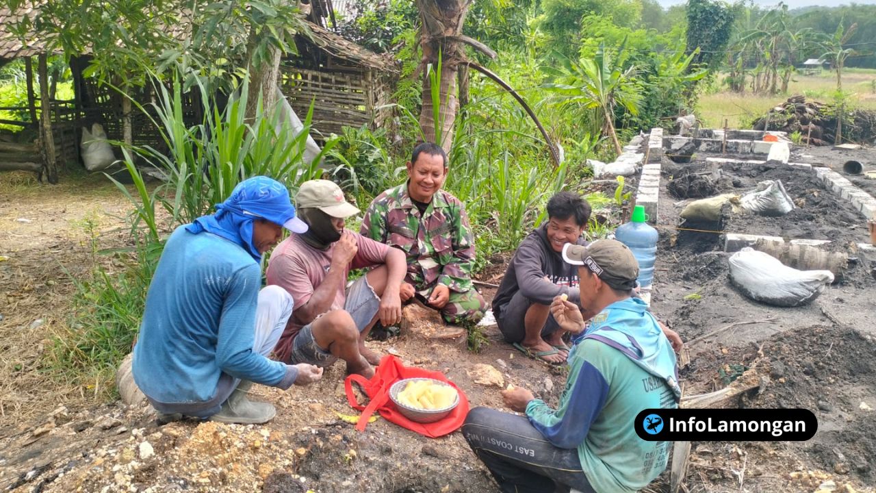 Foto : Seorang Babinsa sedang berdialog atau membantu petani mencabut rumput di tengah sawah.