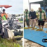 Foto : Dokumentasi Danramil Ngimbang Pimpin Langsung Panen Raya Padi di Desa Munungrejo