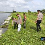 Foto : Kapolsek Sukodadi IPTU M. Sokep saat memberikan keterangan di lokasi kejadian.