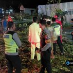 Foto : Personel gabungan Polres Lamongan dan warga bahu-membahu memotong ranting pohon .