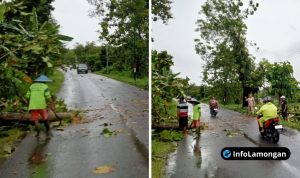 Foto : Dokumentasi Pembersihan pohon tumbang di Jalan Raya Sambeng