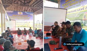 Foto Dokumentasi Babinsa Koramil 081215 Karanggeneng Dampingi Petani dalam Sosialisasi Sekolah Lapang Pengendalian Hama Terpadu Foto : Dokumentasi Babinsa Koramil 081215 Karanggeneng Dampingi Petani dalam Sosialisasi Sekolah Lapang Pengendalian Hama Terpadu