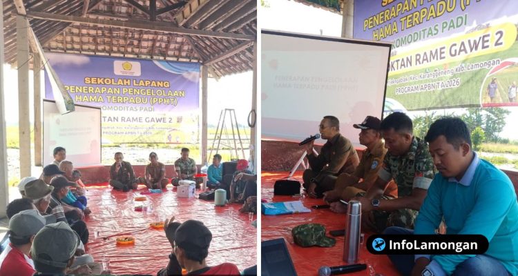 Foto : Dokumentasi Babinsa Koramil 081215 Karanggeneng Dampingi Petani dalam Sosialisasi Sekolah Lapang Pengendalian Hama Terpadu