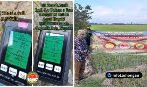 Foto Dokumentasi Pertanian Terapan Organik & Bukti alat pengukur PH tanah Foto : Dokumentasi Pertanian Terapan Organik & Bukti alat pengukur PH tanah