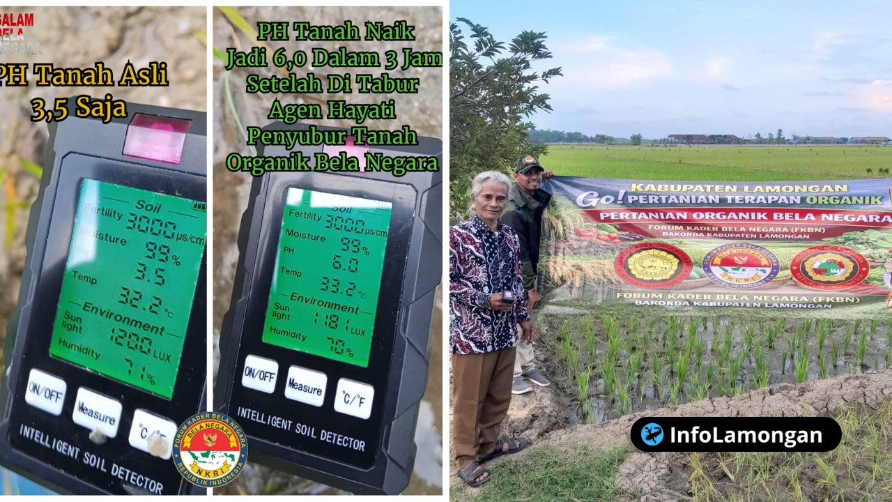 Foto : Dokumentasi Pertanian Terapan Organik & Bukti alat pengukur PH tanah