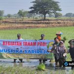 Foto : Dokumentasi menanam padi di Desa Simbatan Sarirejo