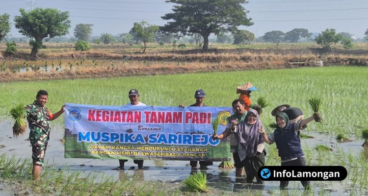Foto : Dokumentasi menanam padi di Desa Simbatan Sarirejo