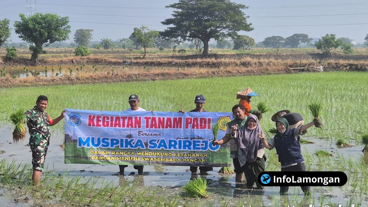 Foto : Dokumentasi menanam padi di Desa Simbatan Sarirejo