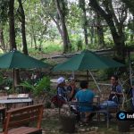 Foto G-PARK Forest Lamongan Foto : G-PARK Forest Lamongan