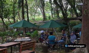 Foto G-PARK Forest Lamongan Foto : G-PARK Forest Lamongan