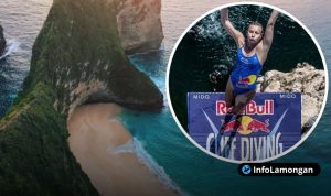 Foto : Red Bull Cliff Diving World